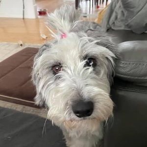 Meet your Posher, Éloïse